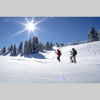 Schneeschuhwandern auf der Frauenalpe | © STG | Tom Lamm