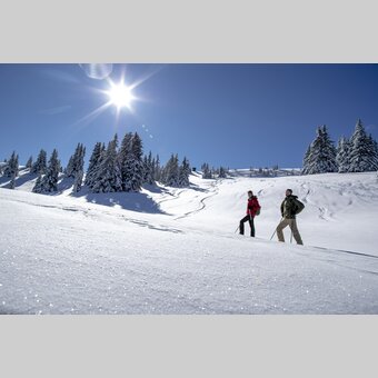 Schneeschuhwandern auf der Frauenalpe | © STG | Tom Lamm