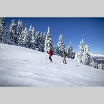 Schneeschuhwandern auf der Frauenalpe | © STG | Tom Lamm