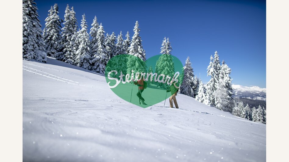 Schneeschuhwandern auf der Frauenalpe | © STG | Tom Lamm