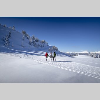 Winterwandern auf der Frauenalpe  | © STG | Tom Lamm