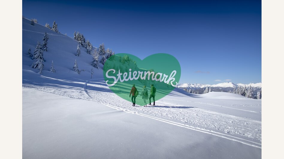 Winterwandern auf der Frauenalpe  | © STG | Tom Lamm