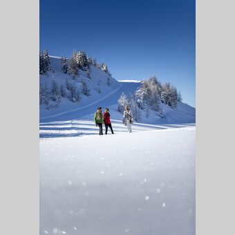 Winterwandern auf der Frauenalpe  | © STG | Tom Lamm