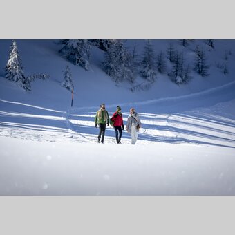 Winterwandern auf der Frauenalpe  | © STG | Tom Lamm