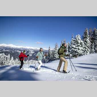Schneeschuhwandern auf der Frauenalpe | © STG | Tom Lamm