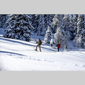 Schneeschuhwandern auf der Frauenalpe | © STG | Tom Lamm