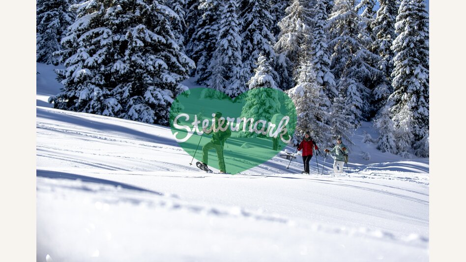 Schneeschuhwandern auf der Frauenalpe | © STG | Tom Lamm