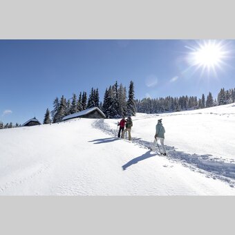 Schneeschuhwandern auf der Frauenalpe | © STG | Tom Lamm