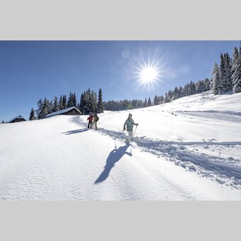 Schneeschuhwandern auf der Frauenalpe | © STG | Tom Lamm