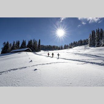 Schneeschuhwandern auf der Frauenalpe | © STG | Tom Lamm