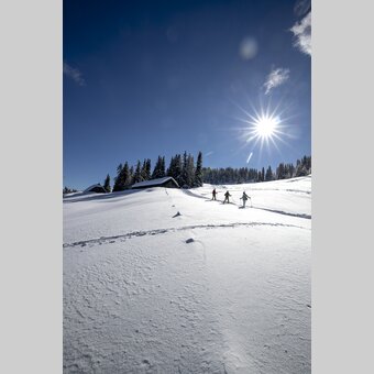 Schneeschuhwandern auf der Frauenalpe  | © STG | Tom Lamm