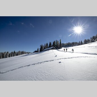 Schneeschuhwandern auf der Frauenalpe  | © STG | Tom Lamm
