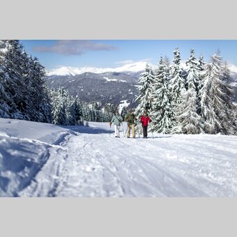 Schneeschuhwandern auf der Frauenalpe | © STG | Tom Lamm