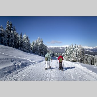 Schneeschuhwandern auf der Frauenalpe | © STG | Tom Lamm
