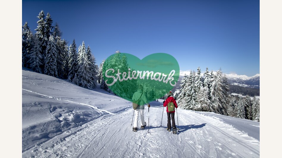 Schneeschuhwandern auf der Frauenalpe | © STG | Tom Lamm