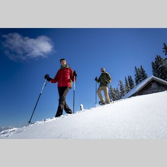 Schneeschuhwandern auf der Frauenalpe | © STG | Tom Lamm