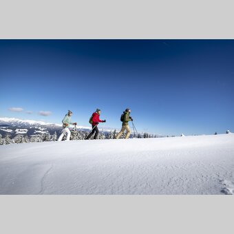 Schneeschuhwandern auf der Frauenalpe | © STG | Tom Lamm