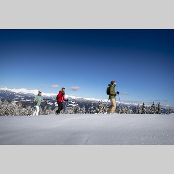 Schneeschuhwandern auf der Frauenalpe | © STG | Tom Lamm