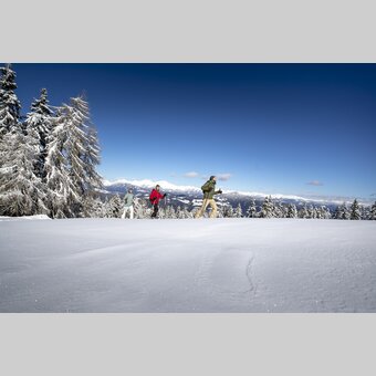 Schneeschuhwandern auf der Frauenalpe | © STG | Tom Lamm