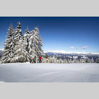 Schneeschuhwandern auf der Frauenalpe | © STG | Tom Lamm