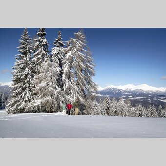 Schneeschuhwandern auf der Frauenalpe | © STG | Tom Lamm
