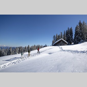 Schneeschuhwandern auf der Frauenalpe | © STG | Tom Lamm