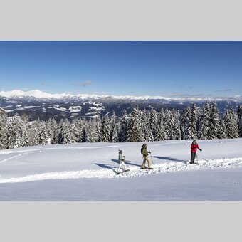 Schneeschuhwandern auf der Frauenalpe | © STG | Tom Lamm