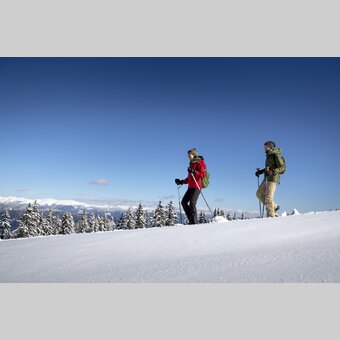 Schneeschuhwandern auf der Frauenalpe | © STG | Tom Lamm