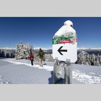 Schneeschuhwandern auf der Frauenalpe | © STG | Tom Lamm