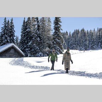 Winterwandern auf der Frauenalpe | © STG | Tom Lamm