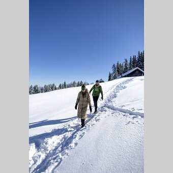 Winterwandern auf der Frauenalpe | © STG | Tom Lamm