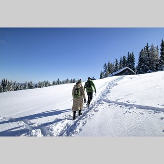 Winterwandern auf der Frauenalpe | © STG | Tom Lamm