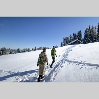 Winterwandern auf der Frauenalpe | © STG | Tom Lamm