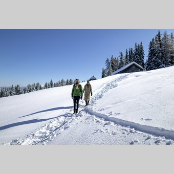 Winterwandern auf der Frauenalpe | © STG | Tom Lamm