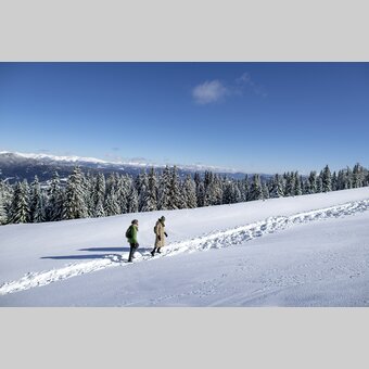Winterwandern auf der Frauenalpe | © STG | Tom Lamm