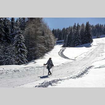 Spazieren auf der Frauenalpe | © STG | Tom Lamm