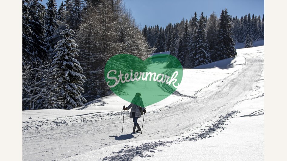 Spazieren auf der Frauenalpe | © STG | Tom Lamm