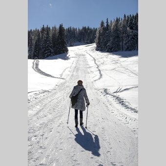 Spazieren auf der Frauenalpe | © STG | Tom Lamm