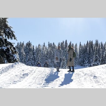 Spazieren gehen auf der Frauenalpe | © STG | Tom Lamm