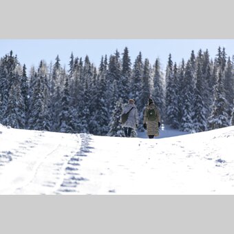 Spazieren gehen auf der Frauenalpe | © STG | Tom Lamm
