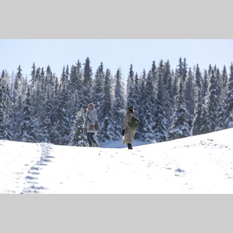Spazieren gehen auf der Frauenalpe | © STG | Tom Lamm