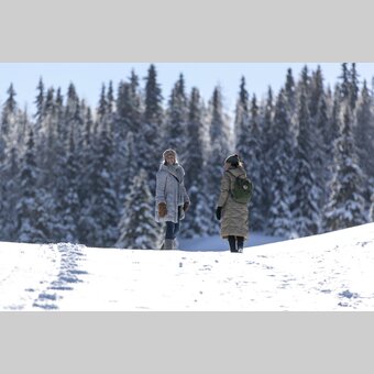 Spazieren gehen auf der Frauenalpe | © STG | Tom Lamm