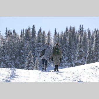 Spazieren gehen auf der Frauenalpe | © STG | Tom Lamm