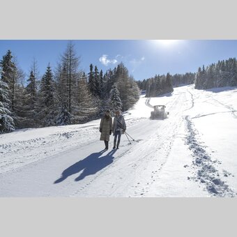 Spazieren gehen auf der Frauenalpe | © STG | Tom Lamm