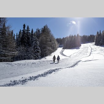 Spazieren gehen auf der Frauenalpe | © STG | Tom Lamm