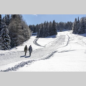 Spazieren gehen auf der Frauenalpe | © STG | Tom Lamm