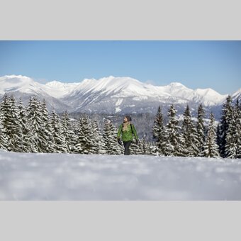 Spazieren gehen auf der Frauenalpe | © STG | Tom Lamm