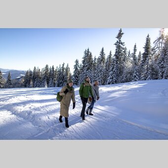  Spazieren gehen auf der Frauenalpe | © STG | Tom Lamm