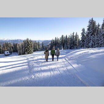 Spazieren gehen auf der Frauenalpe | © STG | Tom Lamm