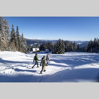 Spazieren gehen auf der Frauenalpe | © STG | Tom Lamm